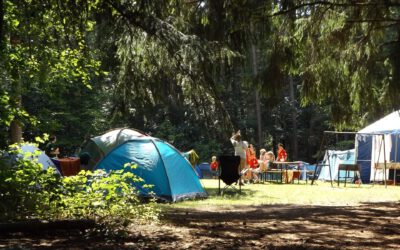 „Wald-Ferienwoche“ meets „Natur-Pur-AG“