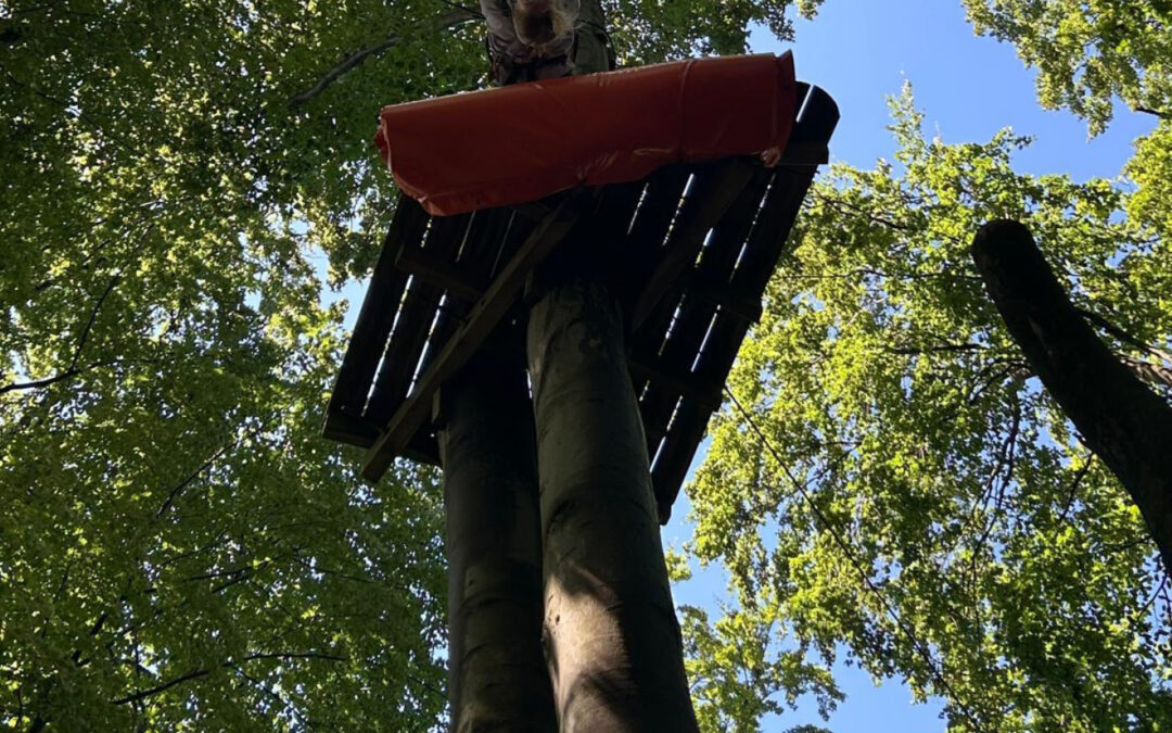 Wandertag der Gesamtschule: Ausflug in den Kletterwald